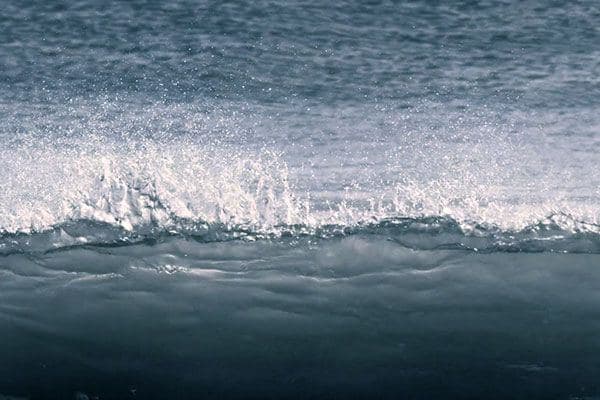 CICADA《浪沫殫過礍石灘》MV