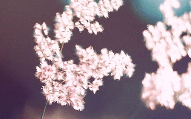 張仲麟 《記號》MV